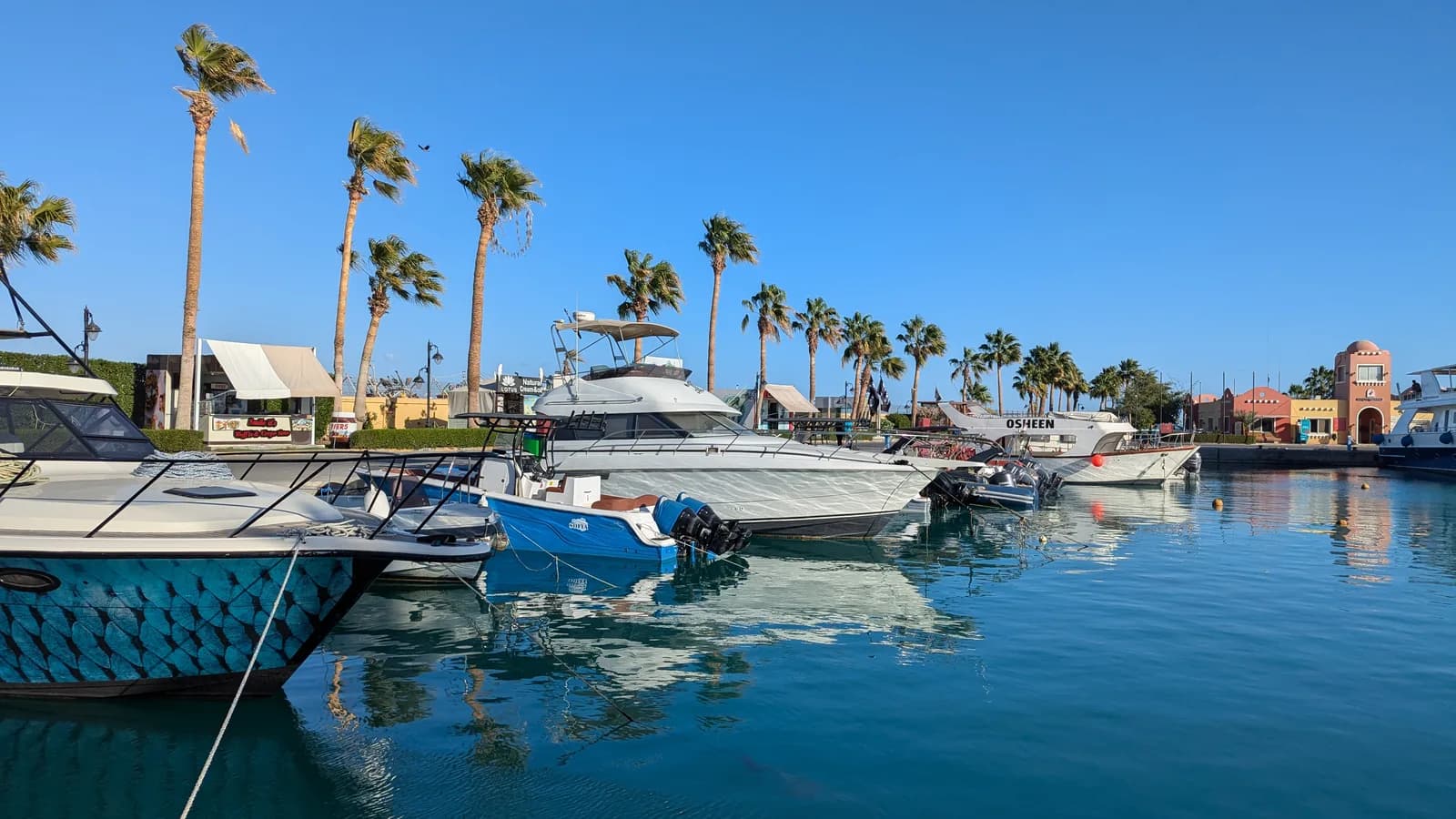 Marina w Hurghadzie z jachtami i palmami